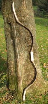 Composite Bow