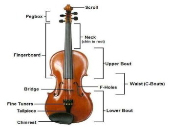 violin