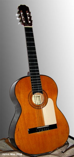Spanish Guitar