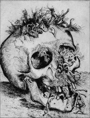 Die Schadel